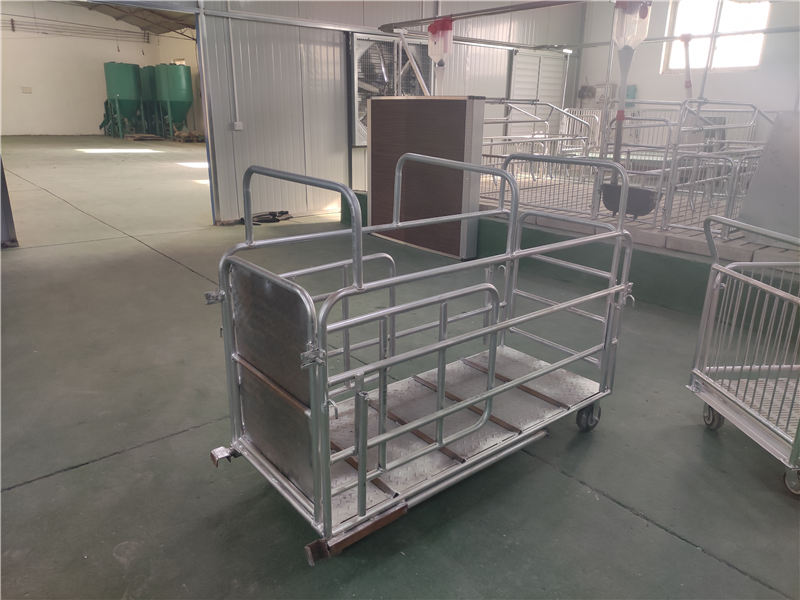 bob综合体育在线登录：《融媒》 陈露：以科学技术创新引领广电视听高质量发展